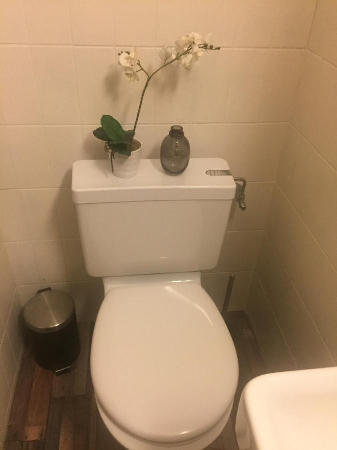Petit Appart De Charme Eau Chaude Solaire Renovation 2021 Wifi Disponible Belvedere 5 サン・リュク エクステリア 写真